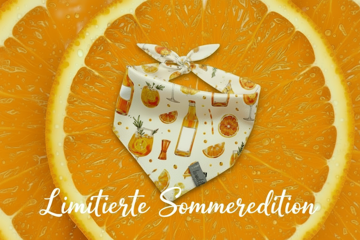 Banner mit Text