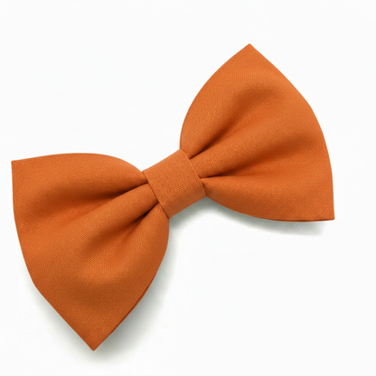 Hundefliege Orange