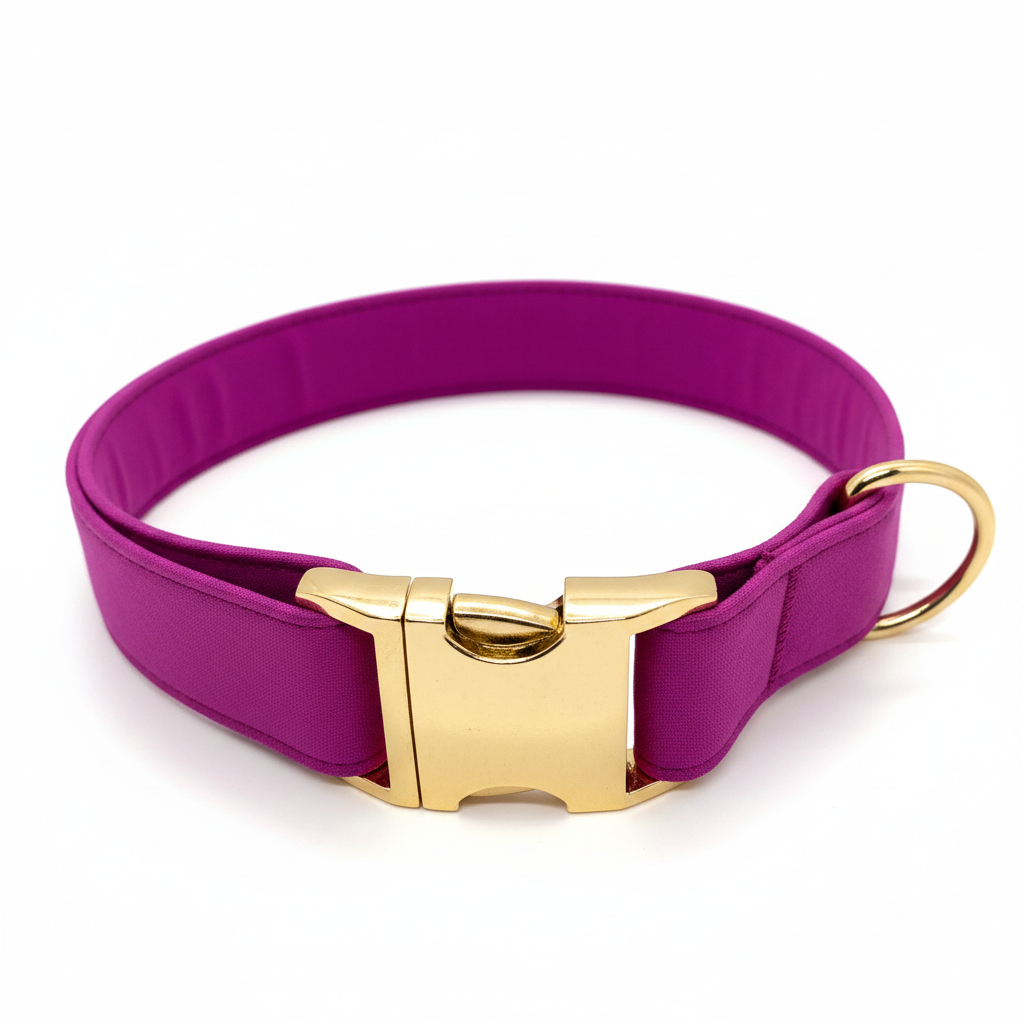 Halsband Lila mit goldener Schnalle und goldenem D-Ring