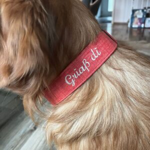 Halsband mit beschichteter Baumwolle – Bild 4