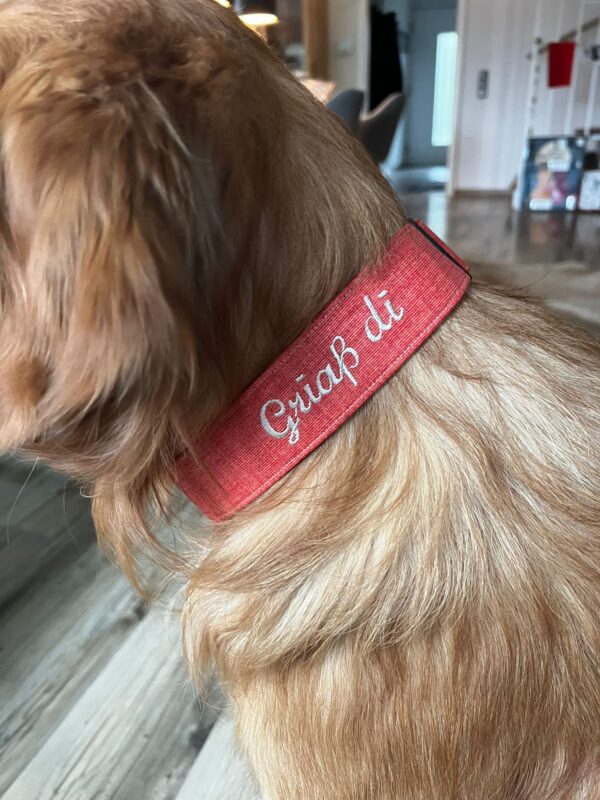 Halsband mit beschichteter Baumwolle