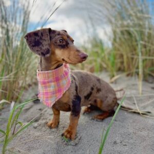 Zweiseitiges Musselintuch Karo – Bild 3