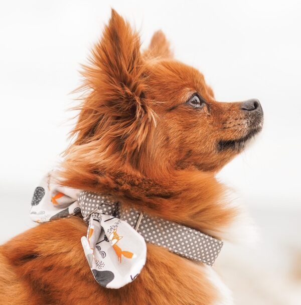 Tuedelknoten mit Halsband