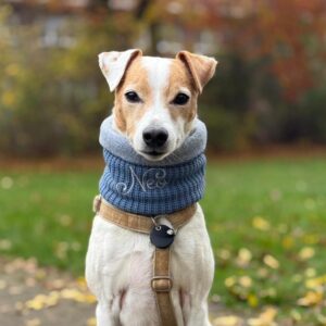 Strick Loop – Bild 4