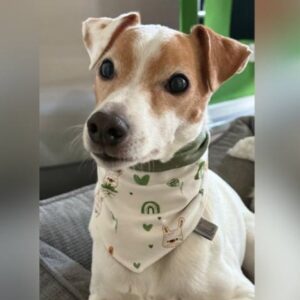 Wendetuch aus Jersey – Bild 5