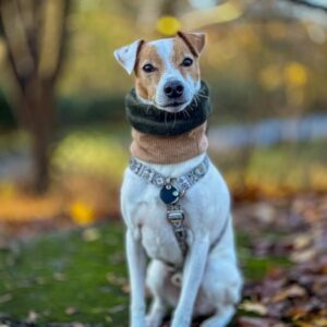 Loop aus Cord – Bild 3