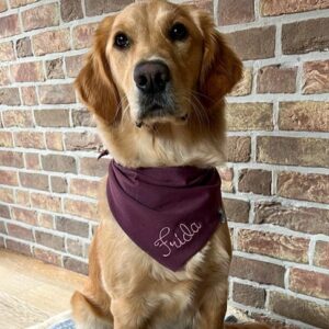 Jerseytuch (einfach) – Bild 2