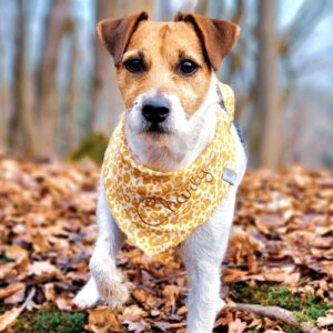 Musselintuch (einfach) – Bild 3