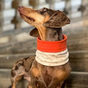 Jersey Loop – Bild 4