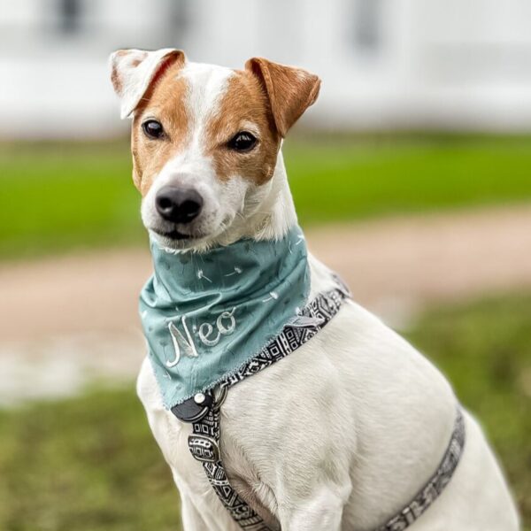 Baumwolltuch (einfach)