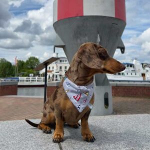 Überziehtuch – Bild 3